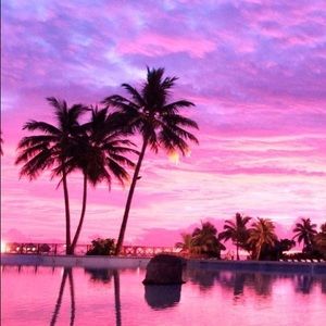 Meet your Posher, Marquia